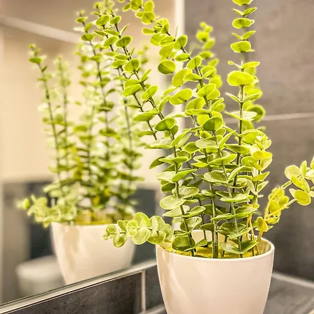 Apartmán Baltischer Hof 41 *